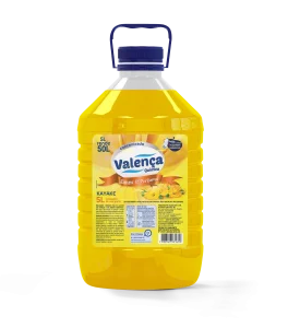 Limpador Concentrado Kayake 5L